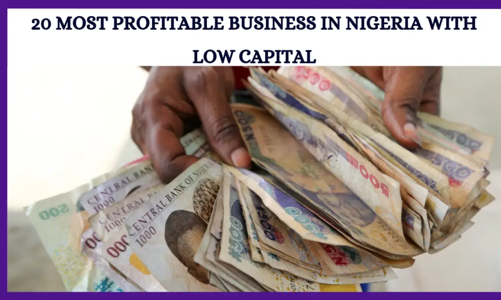 Most Profitable Business In Nigeria With Low Capital