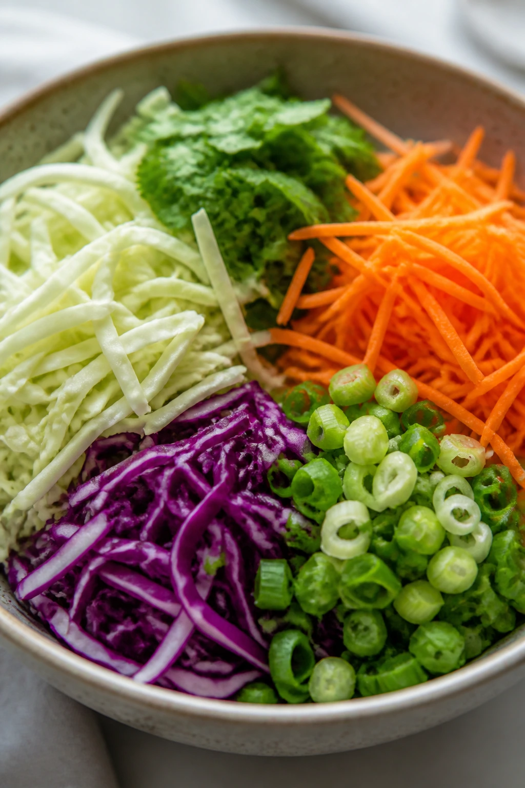 Bowl of raw shredded cabbage, carrots, scallions and herbs