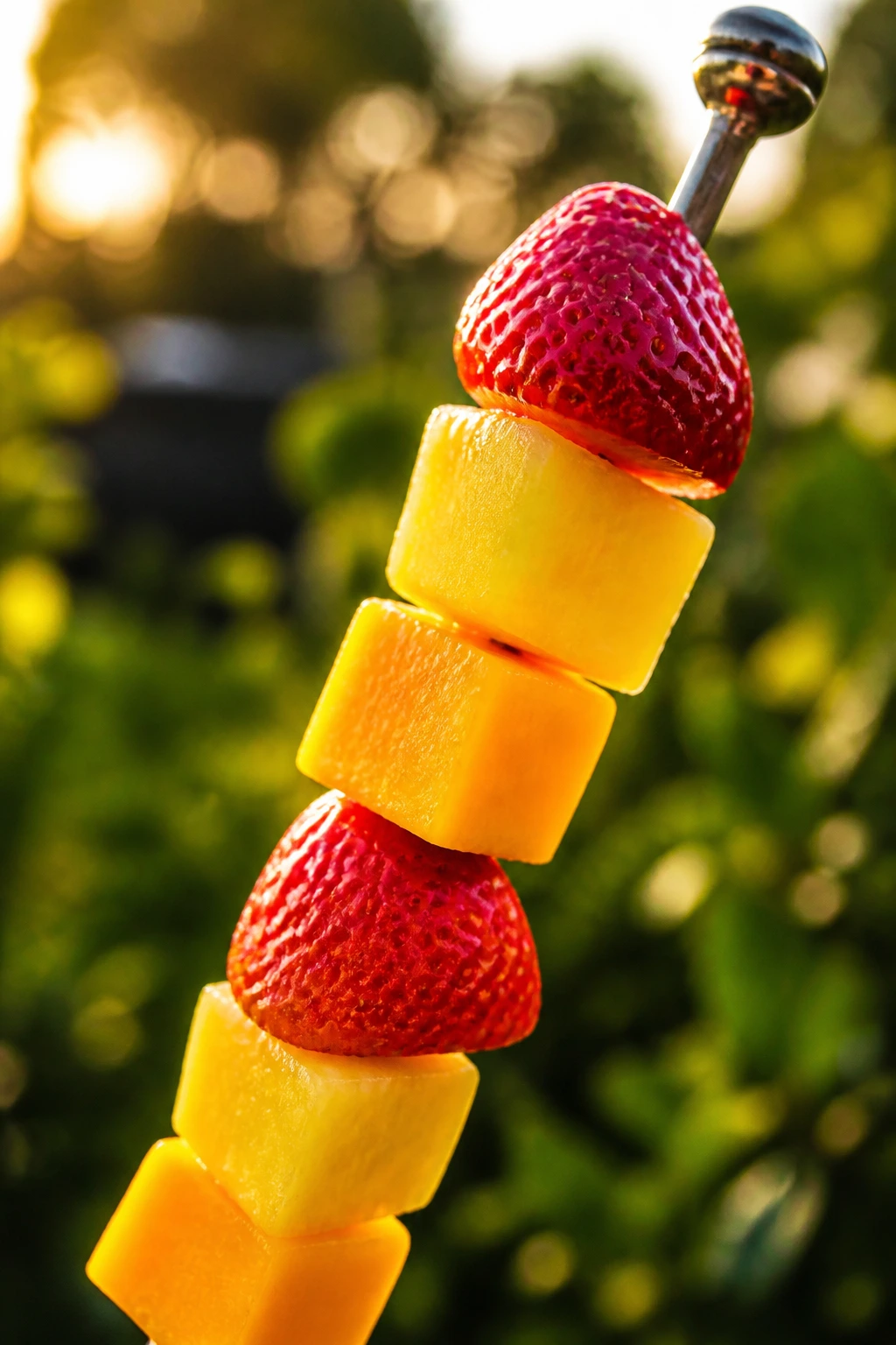 Colorful fruit kebab on a skewer in golden-hour light