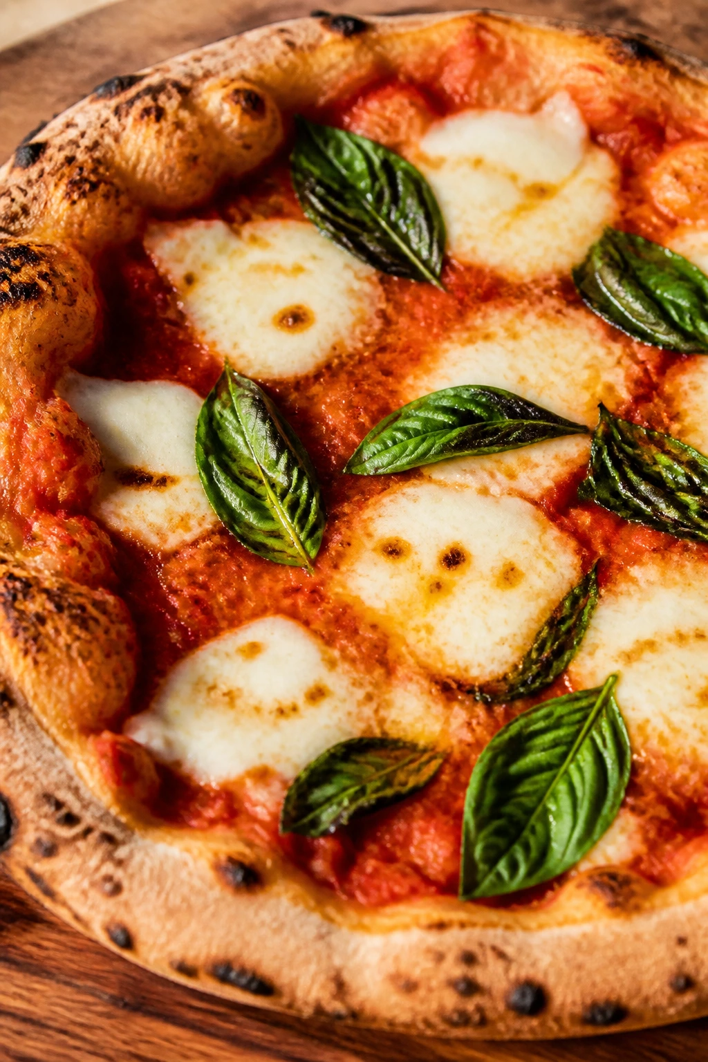 Blistered Margherita pizza with mozzarella, tomato sauce, and basil