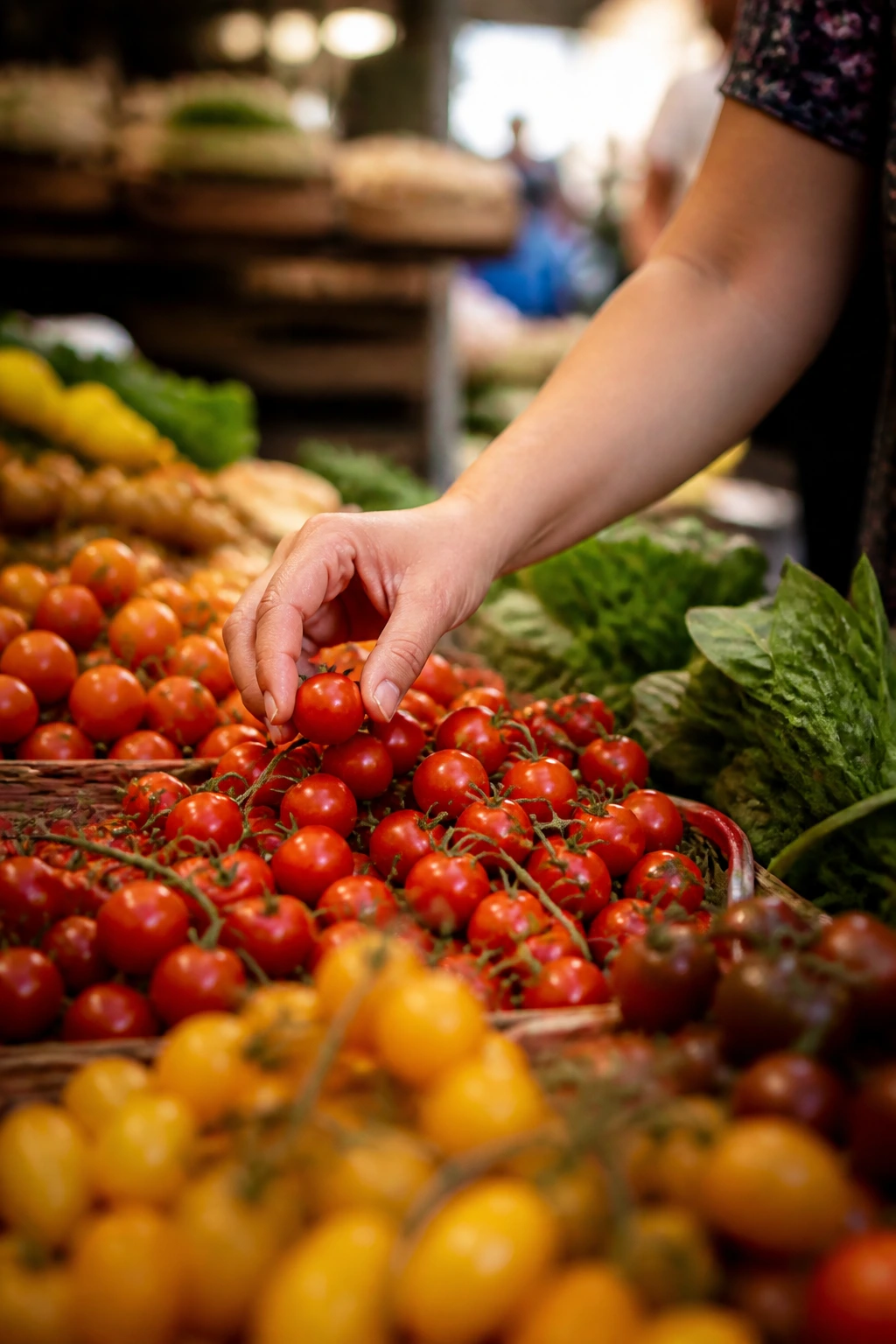 Hand selecting fresh tomatoes at market