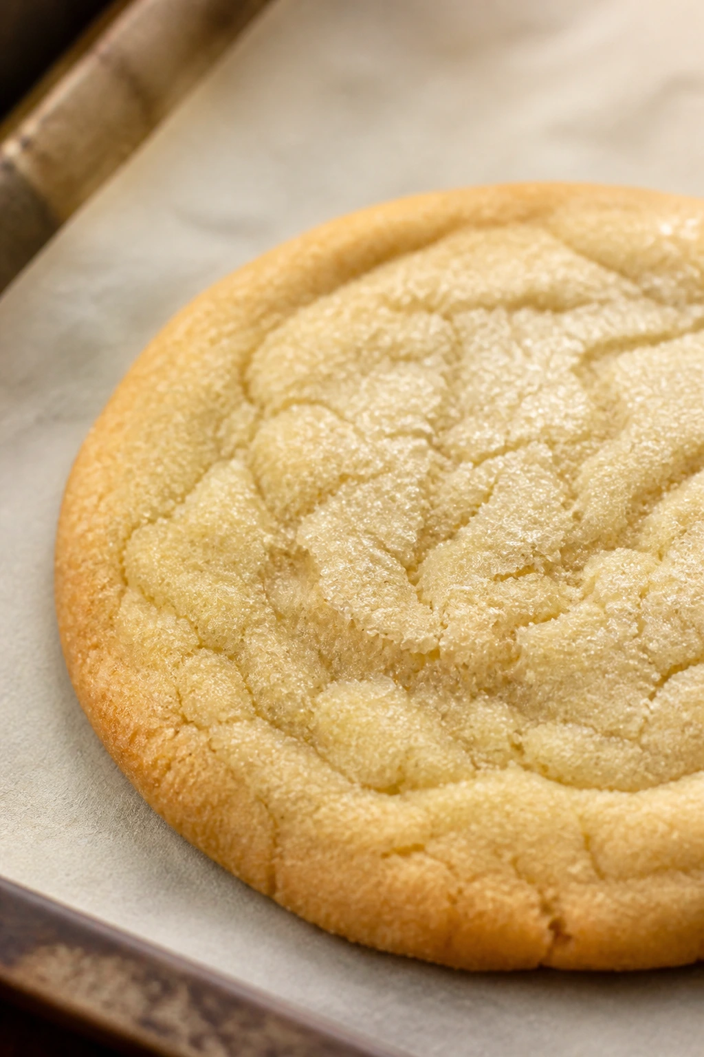 Close-up of a golden olive oil sugar cookie on parchment in a warm kitchen
