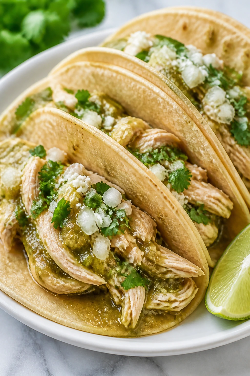 Close-up of tacos filled with salsa verde chicken on a plate.