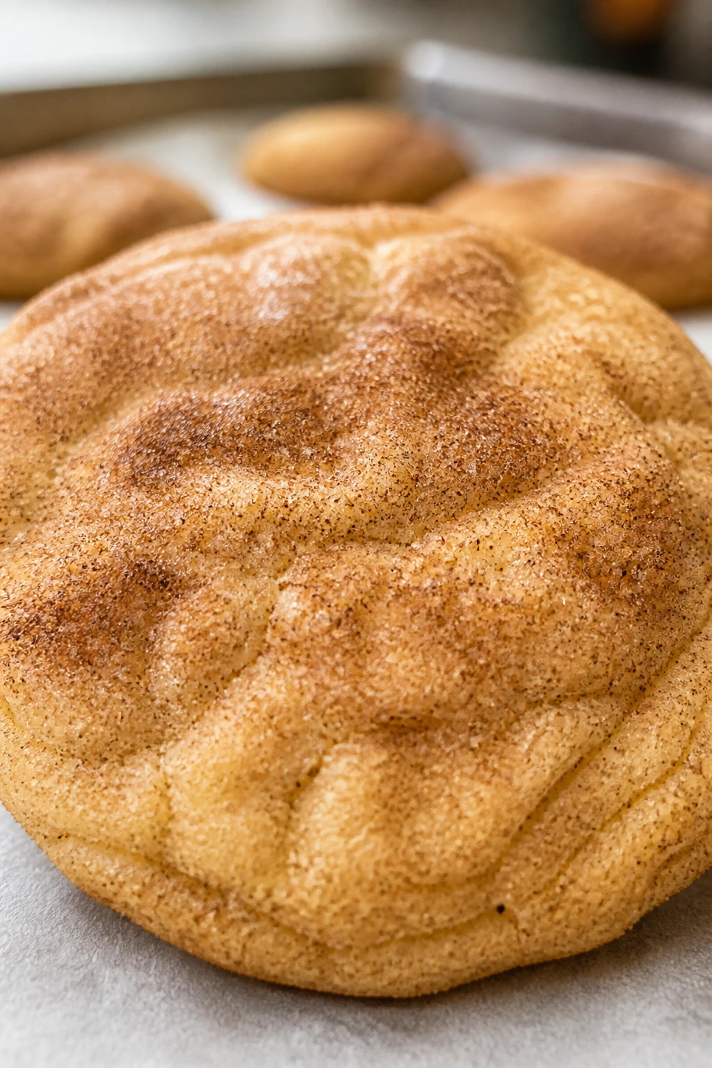 Close-up of a Snickerdoodle cookie with cinnamon-sugar coating.
