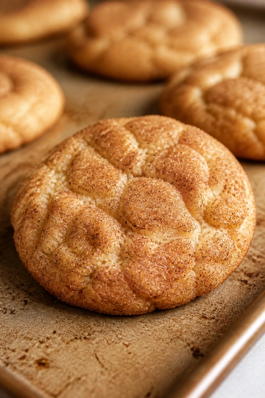 Snickerdoodle cookie with crackled cinnamon-sugar top.