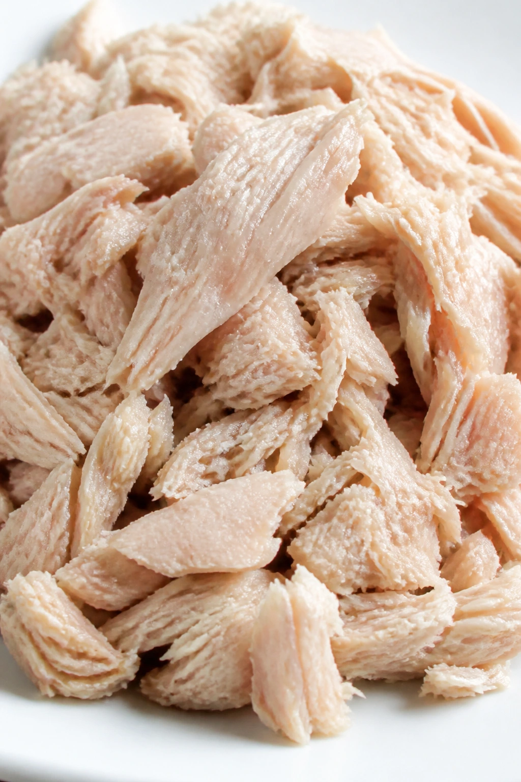 Albacore tuna mound on a plate