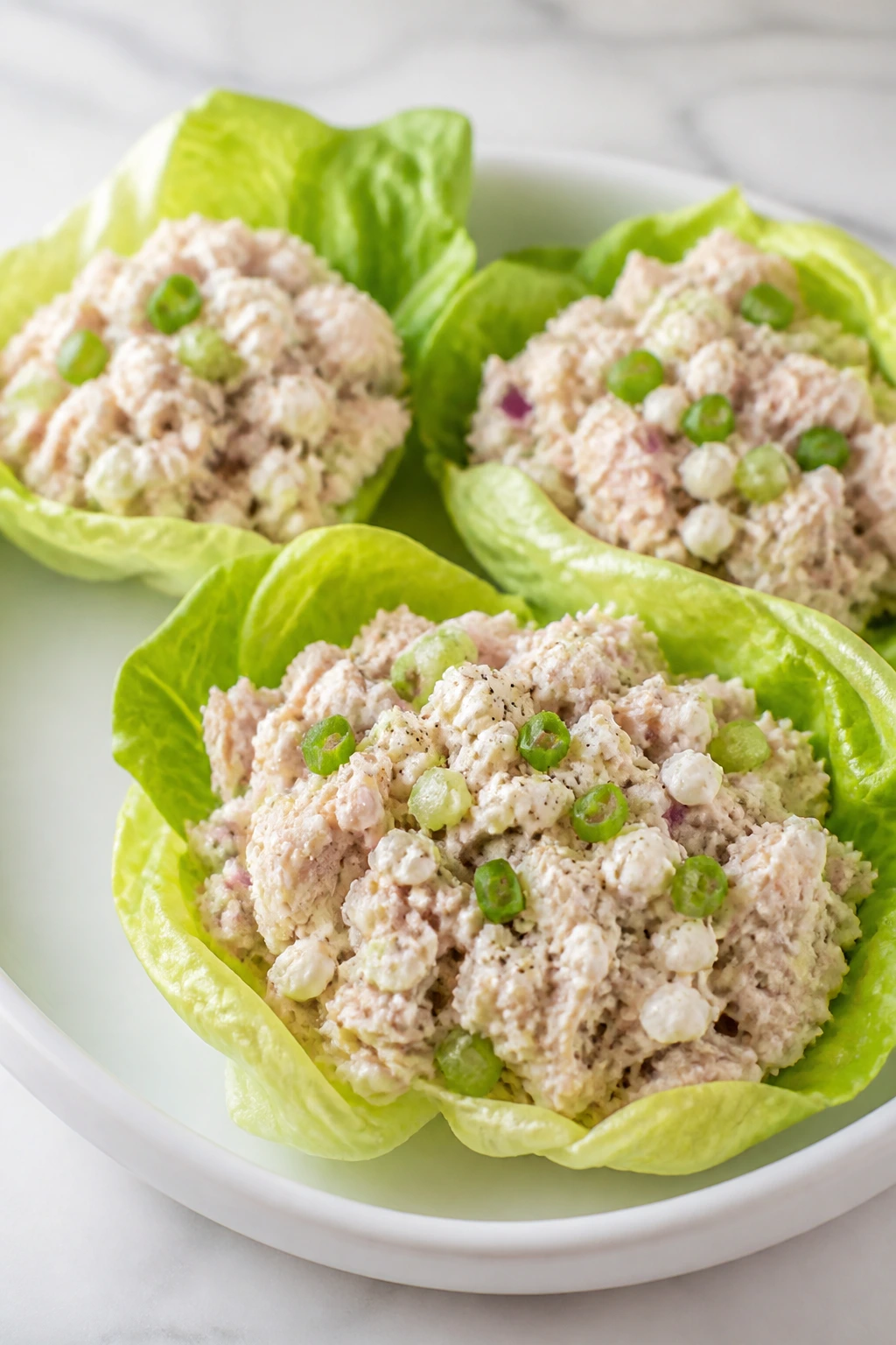 Lettuce cups filled with tuna salad and cottage cheese
