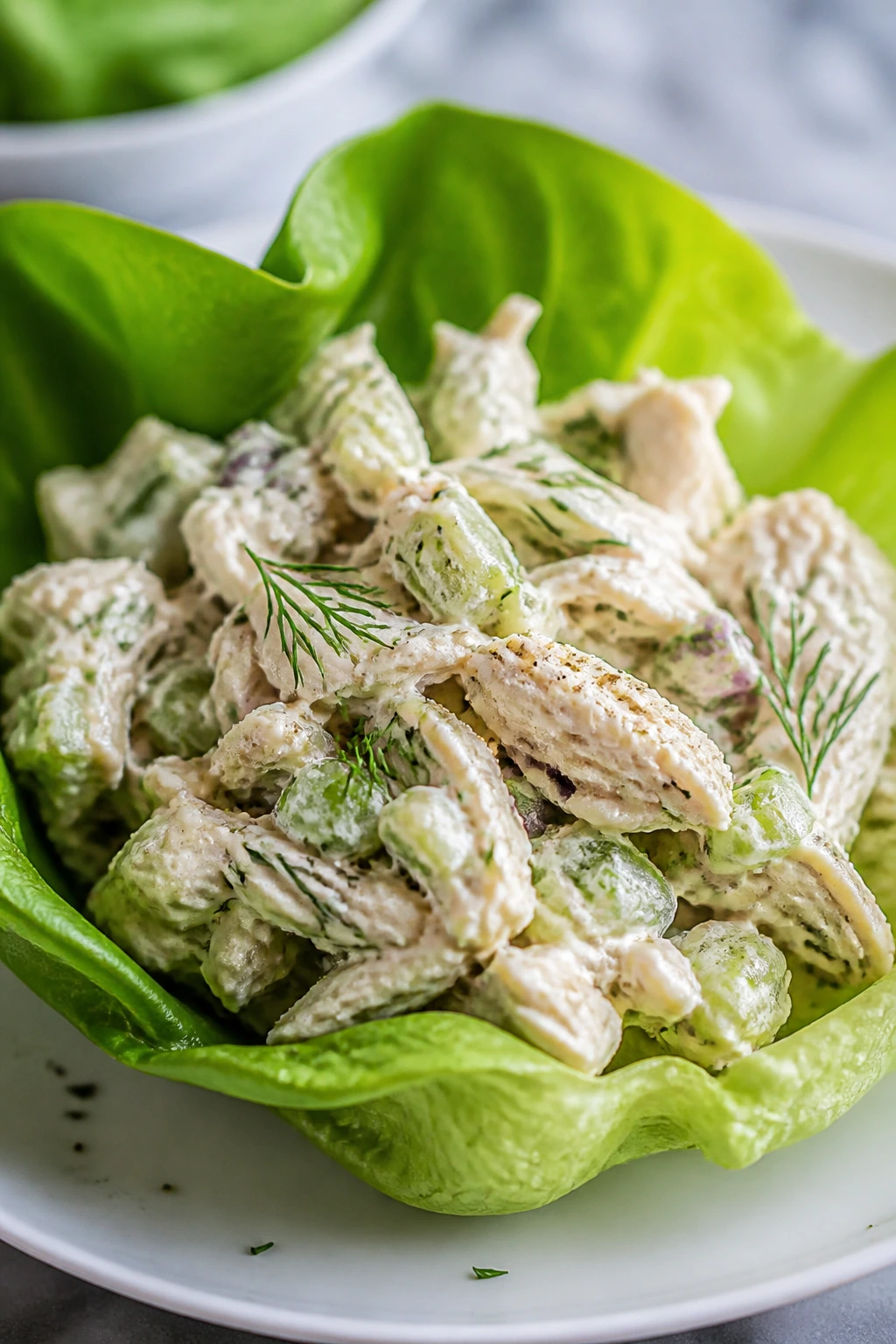 Close-up of a lettuce cup filled with Greek yogurt chicken salad